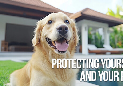 HOME-Protecting Yourself and Your Pets